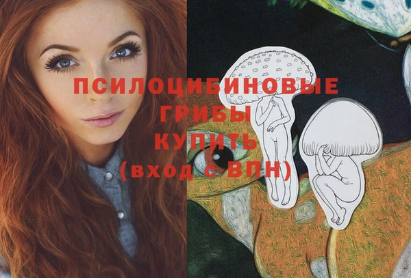 винт Алексин